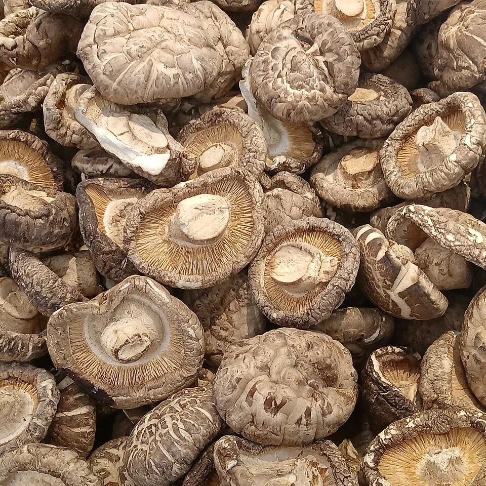 Mì Kokomi thùng 30