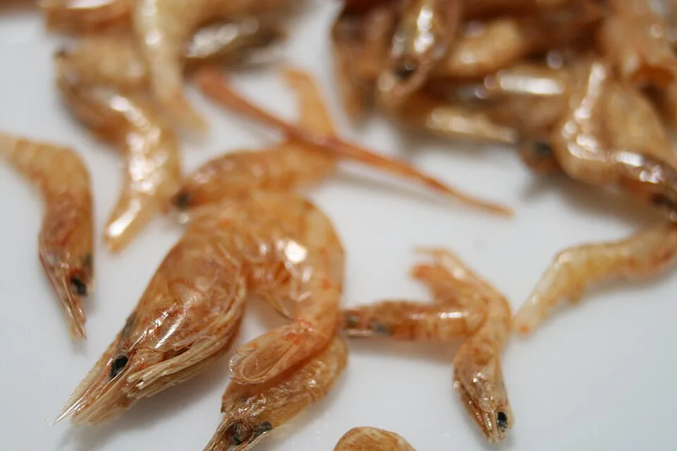 Phở khô Đệ Nhất